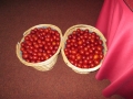 IMG_4290