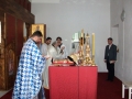 ALIM0389